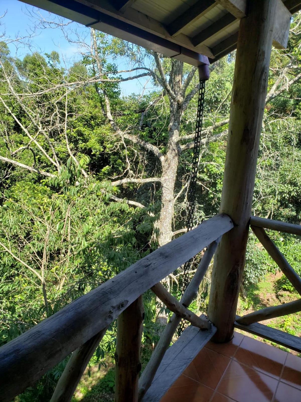 Pousada Da Chacara Nova Petropolis Exteriör bild